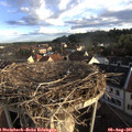 07_15-nest.jpg