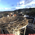 07_20-nest.jpg