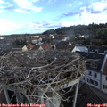 07_25-nest.jpg