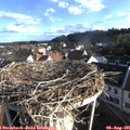 07_30-nest.jpg