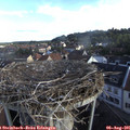 07_35-nest.jpg