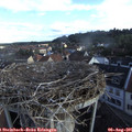 07_40-nest.jpg
