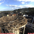 07_45-nest.jpg