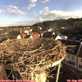 07_50-nest.jpg