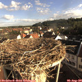 07_55-nest.jpg