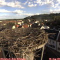 08_00-nest.jpg