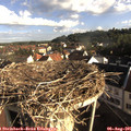 08_05-nest.jpg