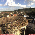08_10-nest.jpg