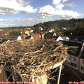 08_15-nest.jpg