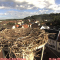 08_20-nest.jpg