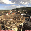 08_25-nest.jpg