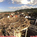 08_30-nest.jpg