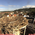 08_40-nest.jpg