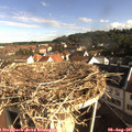 08_45-nest.jpg