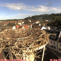 08_55-nest.jpg