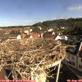 09_05-nest.jpg