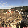 09_30-nest.jpg