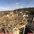 09_35-nest.jpg