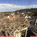 09_50-nest.jpg