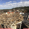 10_00-nest.jpg