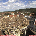 10_10-nest.jpg