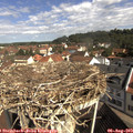 10_15-nest.jpg