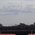 10_25-mast.jpg