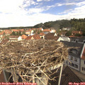 10_25-nest.jpg
