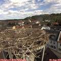 10_30-nest.jpg
