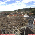 10_35-nest.jpg