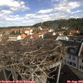 10_40-nest.jpg