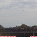 10_45-mast.jpg