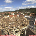 10_50-nest.jpg