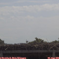 10_55-mast.jpg