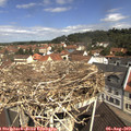 11_00-nest.jpg