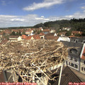 11_05-nest.jpg