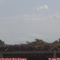 11_10-mast.jpg
