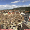 11_10-nest.jpg