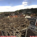 11_15-nest.jpg