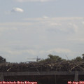 11_20-mast.jpg