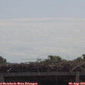 11_25-mast.jpg
