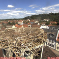 11_25-nest.jpg