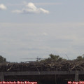 11_30-mast.jpg