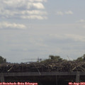 11_35-mast.jpg