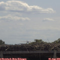 11_40-mast.jpg