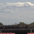 11_45-mast.jpg