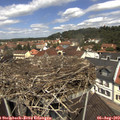 11_55-nest.jpg