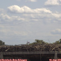 12_00-mast.jpg
