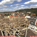 12_00-nest.jpg