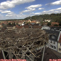 12_05-nest.jpg